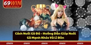 cách nuôi gà đá